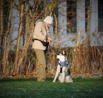 Lydighedstræning Rallytræning Hvalpetræning Unghundetræning ÅRHUS HUNDEFØRERFORENING Hundetræning Århus  hvalpetræning Århus  Lydighedstræning Aarhus  Unghundetræning Aarhus  LP Aarhus  LP træning Aarhus  LP klasse 1 Aarhus LP klasse 2 Aarhus Rally træning Aarhus Rally O træning Aarhus