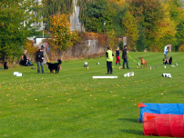 Lydighedstræning Rallytræning Hvalpetræning Unghundetræning ÅRHUS HUNDEFØRERFORENING Hundetræning Århus  hvalpetræning Århus  Lydighedstræning Aarhus  Unghundetræning Aarhus  LP Aarhus  LP træning Aarhus  LP klasse 1 Aarhus LP klasse 2 Aarhus Rally træning Aarhus Rally O træning Aarhus