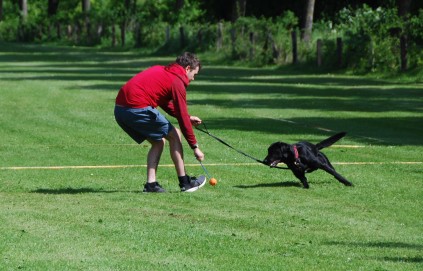 Lydighedstræning Rallytræning Hvalpetræning Unghundetræning ÅRHUS HUNDEFØRERFORENING Hundetræning Århus  hvalpetræning Århus  Lydighedstræning Aarhus  Unghundetræning Aarhus  LP Aarhus  LP træning Aarhus  LP klasse 1 Aarhus LP klasse 2 Aarhus Rally træning Aarhus Rally O træning Aarhus